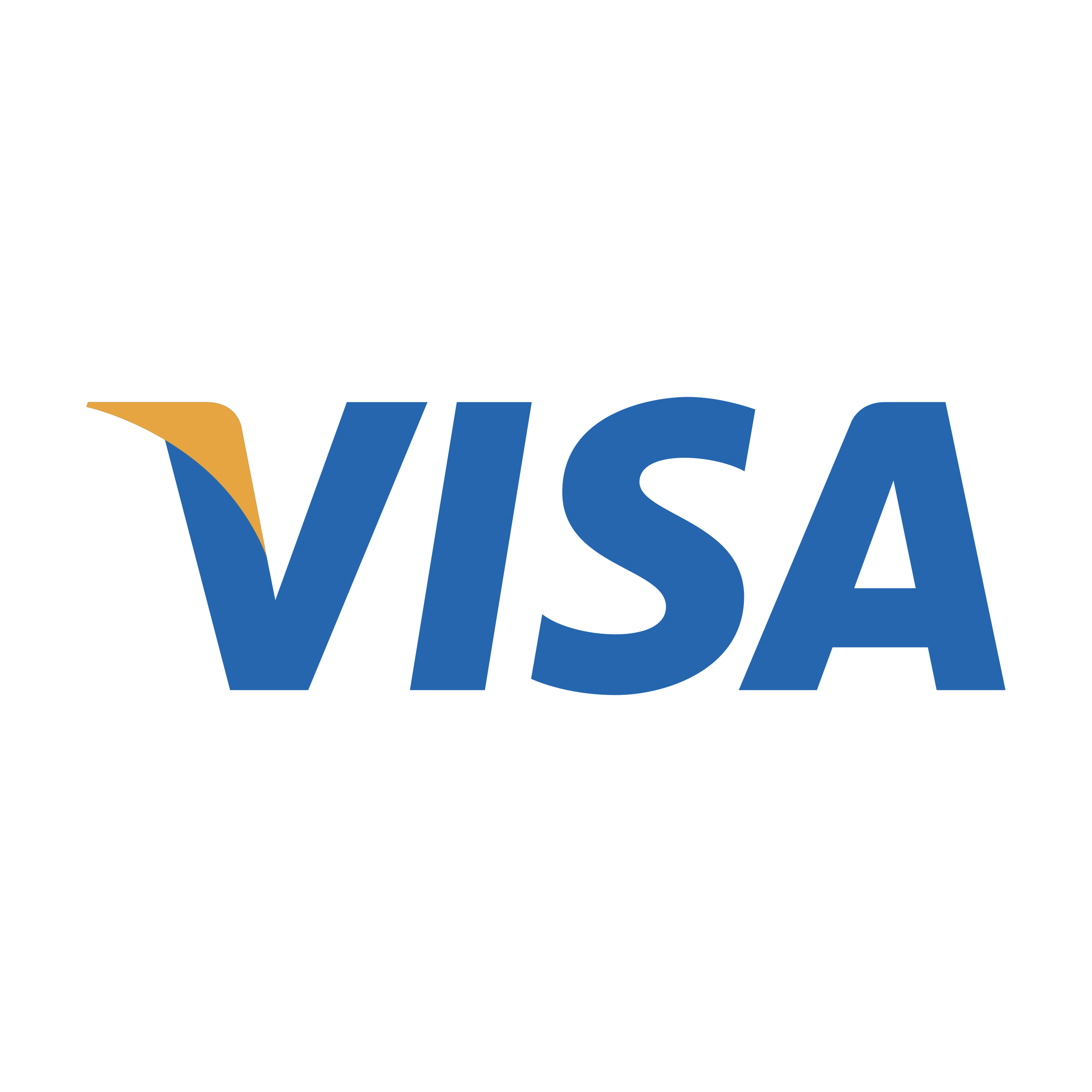 Visa 로고